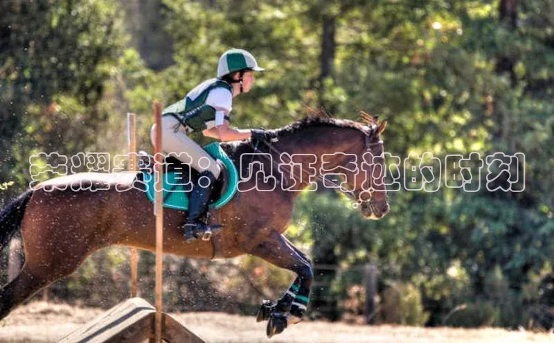 九游会·(J9)官方网站