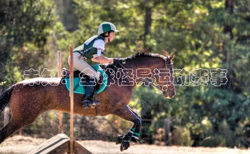 j9九游会官网-真人游戏第一品牌