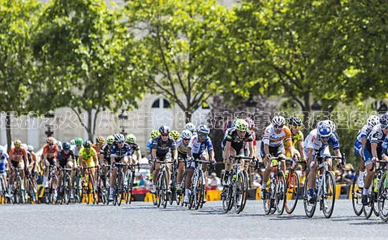 j9九游会-真人游戏第一品牌