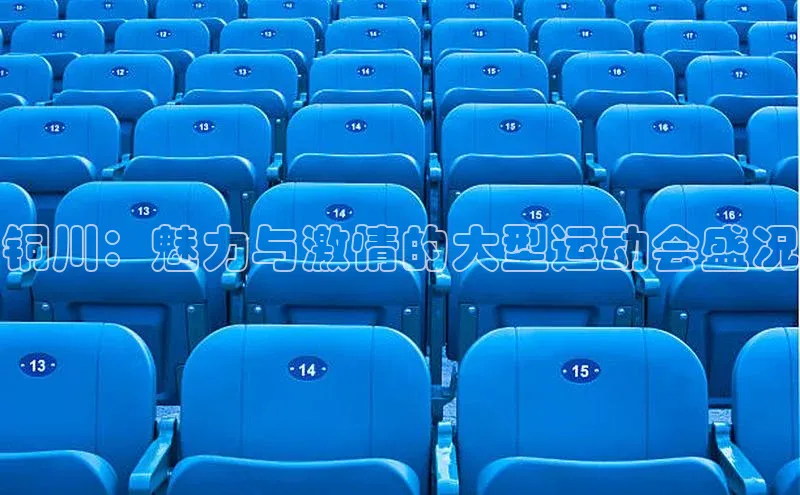 铜川：魅力与激情的大型运动会盛况